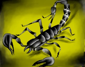 Skorpion-Zeichnung von Freny