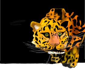 Shanthini の チーター の絵