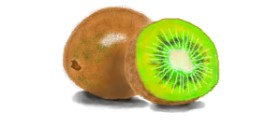 Drawing of Kiwi fruit by DebbyLee