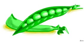 Drawing of Peas by Swimmer