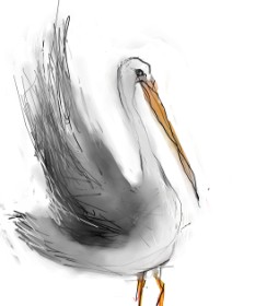Sweetheart♥︎ の コウノトリ の絵