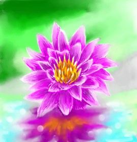 Drawing of Water lily by ⋆su⋆vinci彡