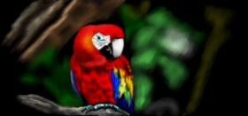 Çhåching の オウム の絵