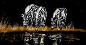 Zebra-Zeichnung von Eclat de Lune