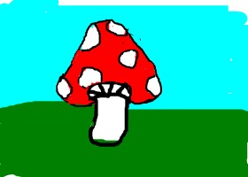 Drawing of Mushroom by m