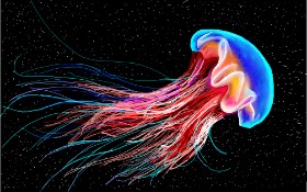 Meduza - autor: GJP