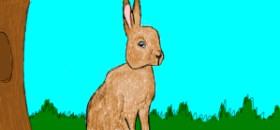 Accound124 の ウサギ の絵