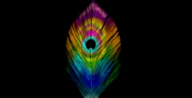 Drawing of Feather by Eclat de Lune