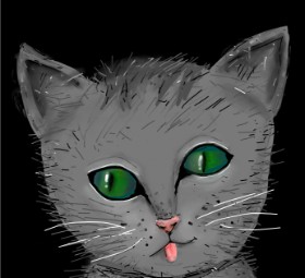 Drawing of Kitten by Peek