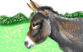DrawSomething の ロバ の絵
