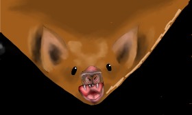 Drawing of Bat by No stylus used