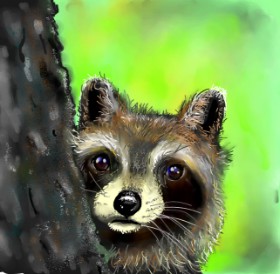 Rakun - autor: Leah