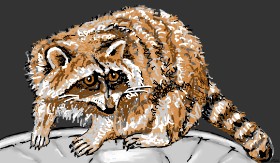 Drawing of Raccoon by Flowerpot