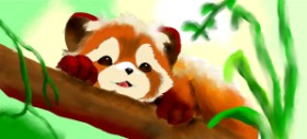 Annie の レッサーパンダ の絵