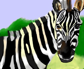 Zebra-Zeichnung von IThinkWereDoomed