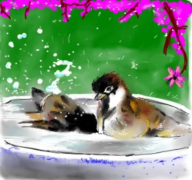 Clar の スズメ の絵