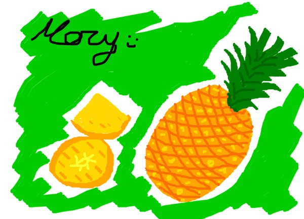Ananas-Zeichnung von mary