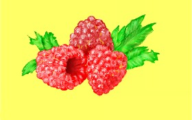 GJP の ラズベリー の絵