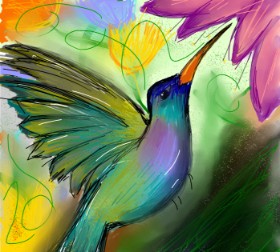 Zeemal の ハチドリ の絵