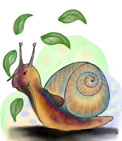 Drawing of Snail by SP