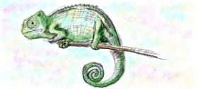 Рисунок на тему «Хамелеон» — автор: Kitine
