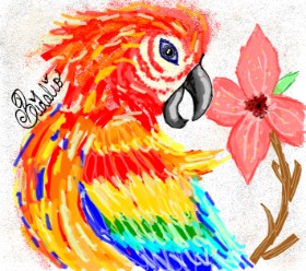 Drawing of Parrot by BRIDALIO🍌