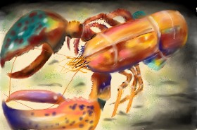 Drawing of Lobster by Wizard