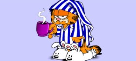 Garfield - autor: Annie