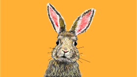 teidolo の ウサギ の絵