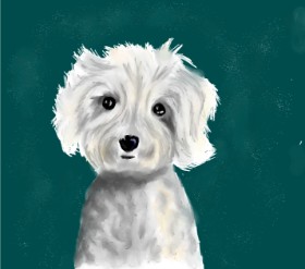 Drawing of Poodle by JSim