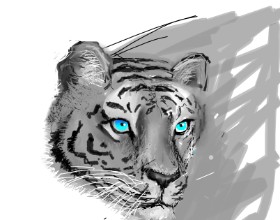 Andrea の トラ の絵