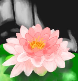 TedsNan の スイレン の絵