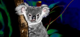 Drawing of Koala by Çhåching