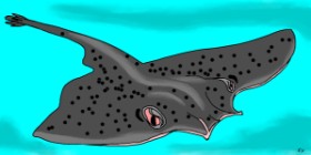 Рисунок на тему «Скат» — автор: Swimmer