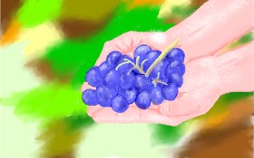 Drawing of Grapes by GJP