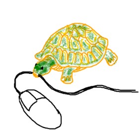 dogod の カメ の絵