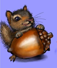 Drawing of Acorn by Leah