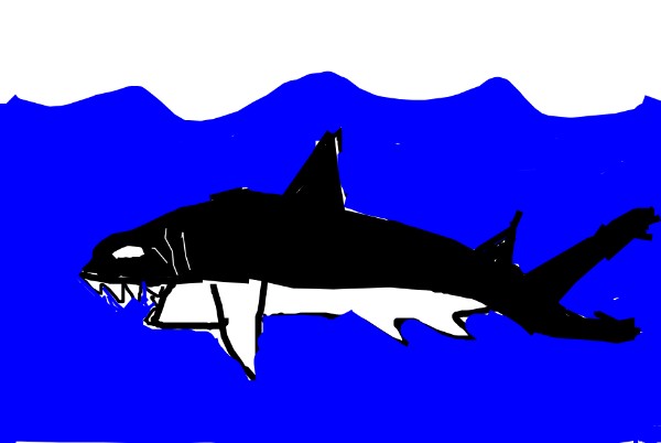 Zezaf の サメ の絵