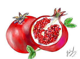 Drawing of Pomegranate by Pizza Margherita 🍕