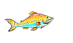 sweetpotator の 魚 の絵