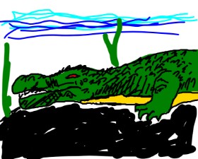 Drawing of Alligator by bblue