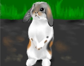 Cec の ウサギ の絵