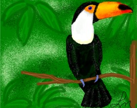 Nonuvyrbiznis  の オオハシ の絵