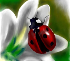Яandi の てんとう虫 の絵
