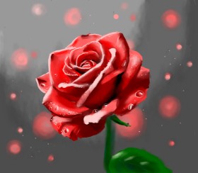 Рисунок на тему «Роза» — автор: Яandi