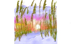 Drawing of Wheat by GJP