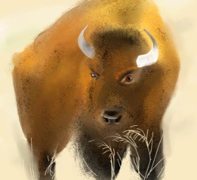 Bizon - autor: punee