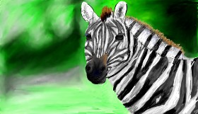 Zebra-Zeichnung von Mia