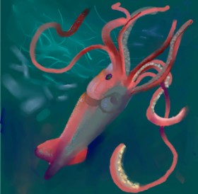 Ja の イカ の絵