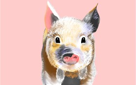 Schwein-Zeichnung von GJP
